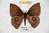 ( - BC-RBP 4054)  @12 [ ] Copyright (2010) Unspecified Research Collection of Ron Brechlin