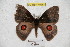  ( - BC-RBP 4056)  @13 [ ] Copyright (2010) Unspecified Research Collection of Ron Brechlin