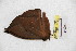  ( - BC-RBP 4099)  @12 [ ] Copyright (2010) Unspecified Research Collection of Ron Brechlin