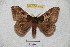  ( - BC-RBP 4152)  @13 [ ] Copyright (2010) Unspecified Research Collection of Ron Brechlin
