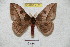  ( - BC-RBP 4153)  @14 [ ] Copyright (2010) Unspecified Research Collection of Ron Brechlin