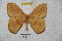 ( - BC-RBP 4182)  @12 [ ] Copyright (2010) Unspecified Research Collection of Ron Brechlin