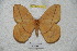  ( - BC-RBP 4183)  @12 [ ] Copyright (2010) Unspecified Research Collection of Ron Brechlin