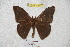  ( - BC-RBP 4196)  @13 [ ] Copyright (2010) Unspecified Research Collection of Ron Brechlin