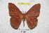  ( - BC-RBP 4198)  @13 [ ] Copyright (2010) Unspecified Research Collection of Ron Brechlin