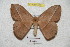  ( - BC-RBP 4201)  @13 [ ] Copyright (2010) Unspecified Research Collection of Ron Brechlin
