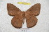  ( - BC-RBP 4204)  @13 [ ] Copyright (2010) Unspecified Research Collection of Ron Brechlin