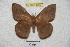  ( - BC-RBP 4205)  @13 [ ] Copyright (2010) Unspecified Research Collection of Ron Brechlin