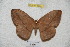  ( - BC-RBP 4208)  @13 [ ] Copyright (2010) Unspecified Research Collection of Ron Brechlin