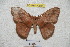  ( - BC-RBP 4210)  @13 [ ] Copyright (2010) Unspecified Research Collection of Ron Brechlin