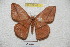  ( - BC-RBP 4212)  @15 [ ] Copyright (2010) Unspecified Research Collection of Ron Brechlin