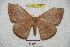  ( - BC-RBP 4213)  @14 [ ] Copyright (2010) Unspecified Research Collection of Ron Brechlin