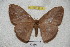  ( - BC-RBP 4214)  @14 [ ] Copyright (2010) Unspecified Research Collection of Ron Brechlin