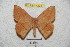  ( - BC-RBP 4224)  @11 [ ] Copyright (2010) Unspecified Research Collection of Ron Brechlin