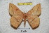  ( - BC-RBP 4225)  @13 [ ] Copyright (2010) Unspecified Research Collection of Ron Brechlin
