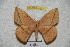  ( - BC-RBP 4227)  @13 [ ] Copyright (2010) Unspecified Research Collection of Ron Brechlin