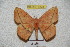  ( - BC-RBP 4228)  @13 [ ] Copyright (2010) Unspecified Research Collection of Ron Brechlin