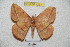  ( - BC-RBP 4231)  @13 [ ] Copyright (2010) Unspecified Research Collection of Ron Brechlin