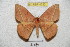 ( - BC-RBP 4232)  @14 [ ] Copyright (2010) Unspecified Research Collection of Ron Brechlin