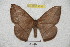  ( - BC-RBP 4233)  @13 [ ] Copyright (2010) Unspecified Research Collection of Ron Brechlin