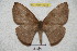  ( - BC-RBP 4234)  @13 [ ] Copyright (2010) Unspecified Research Collection of Ron Brechlin