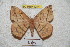  ( - BC-RBP 4244)  @13 [ ] Copyright (2010) Unspecified Research Collection of Ron Brechlin