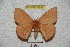  ( - BC-RBP 4245)  @13 [ ] Copyright (2010) Unspecified Research Collection of Ron Brechlin