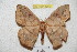  ( - BC-RBP 4250)  @13 [ ] Copyright (2010) Unspecified Research Collection of Ron Brechlin