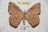 ( - BC-RBP 4254)  @14 [ ] Copyright (2010) Unspecified Research Collection of Ron Brechlin