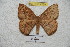 ( - BC-RBP 4258)  @13 [ ] Copyright (2010) Unspecified Research Collection of Ron Brechlin
