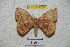  ( - BC-RBP 4259)  @13 [ ] Copyright (2010) Unspecified Research Collection of Ron Brechlin
