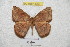  ( - BC-RBP 4260)  @13 [ ] Copyright (2010) Unspecified Research Collection of Ron Brechlin