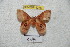  ( - BC-RBP 4276)  @12 [ ] Copyright (2010) Unspecified Research Collection of Ron Brechlin
