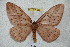  ( - BC-RBP 4288)  @12 [ ] Copyright (2010) Unspecified Research Collection of Ron Brechlin