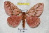 ( - BC-RBP 4297)  @13 [ ] Copyright (2010) Unspecified Research Collection of Ron Brechlin