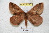  ( - BC-RBP 4315)  @12 [ ] Copyright (2010) Unspecified Research Collection of Ron Brechlin