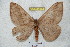  ( - BC-RBP 4322)  @14 [ ] Copyright (2010) Unspecified Research Collection of Ron Brechlin