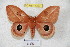  ( - BC-RBP 4337)  @15 [ ] Copyright (2010) Unspecified Research Collection of Ron Brechlin