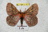  ( - BC-RBP 4345)  @14 [ ] Copyright (2010) Unspecified Research Collection of Ron Brechlin