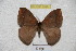  ( - BC-RBP 3399)  @12 [ ] Copyright (2010) Unspecified Research Collection of Ron Brechlin