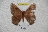  ( - BC-RBP 3407)  @12 [ ] Copyright (2010) Unspecified Research Collection of Ron Brechlin