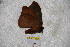  ( - BC-RBP 3418)  @12 [ ] Copyright (2010) Unspecified Research Collection of Ron Brechlin