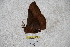  ( - BC-RBP 3424)  @12 [ ] Copyright (2010) Unspecified Research Collection of Ron Brechlin