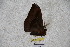  ( - BC-RBP 3425)  @12 [ ] Copyright (2010) Unspecified Research Collection of Ron Brechlin