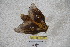  ( - BC-RBP 3431)  @12 [ ] Copyright (2010) Unspecified Research Collection of Ron Brechlin