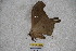 ( - BC-RBP 3484)  @12 [ ] Copyright (2010) Unspecified Research Collection of Ron Brechlin