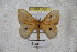  ( - BC-RBP 3583)  @13 [ ] Copyright (2010) Unspecified Research Collection of Ron Brechlin
