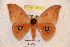  ( - BC-RBP 3676)  @12 [ ] Copyright (2010) Unspecified Research Collection of Ron Brechlin