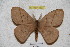  ( - BC-RBP 3803)  @13 [ ] Copyright (2010) Ron Brechlin Research Collection of Ron Brechlin