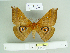  ( - BC-RBP 3385)  @11 [ ] Copyright (2010) Unspecified Research Collection of Ron Brechlin